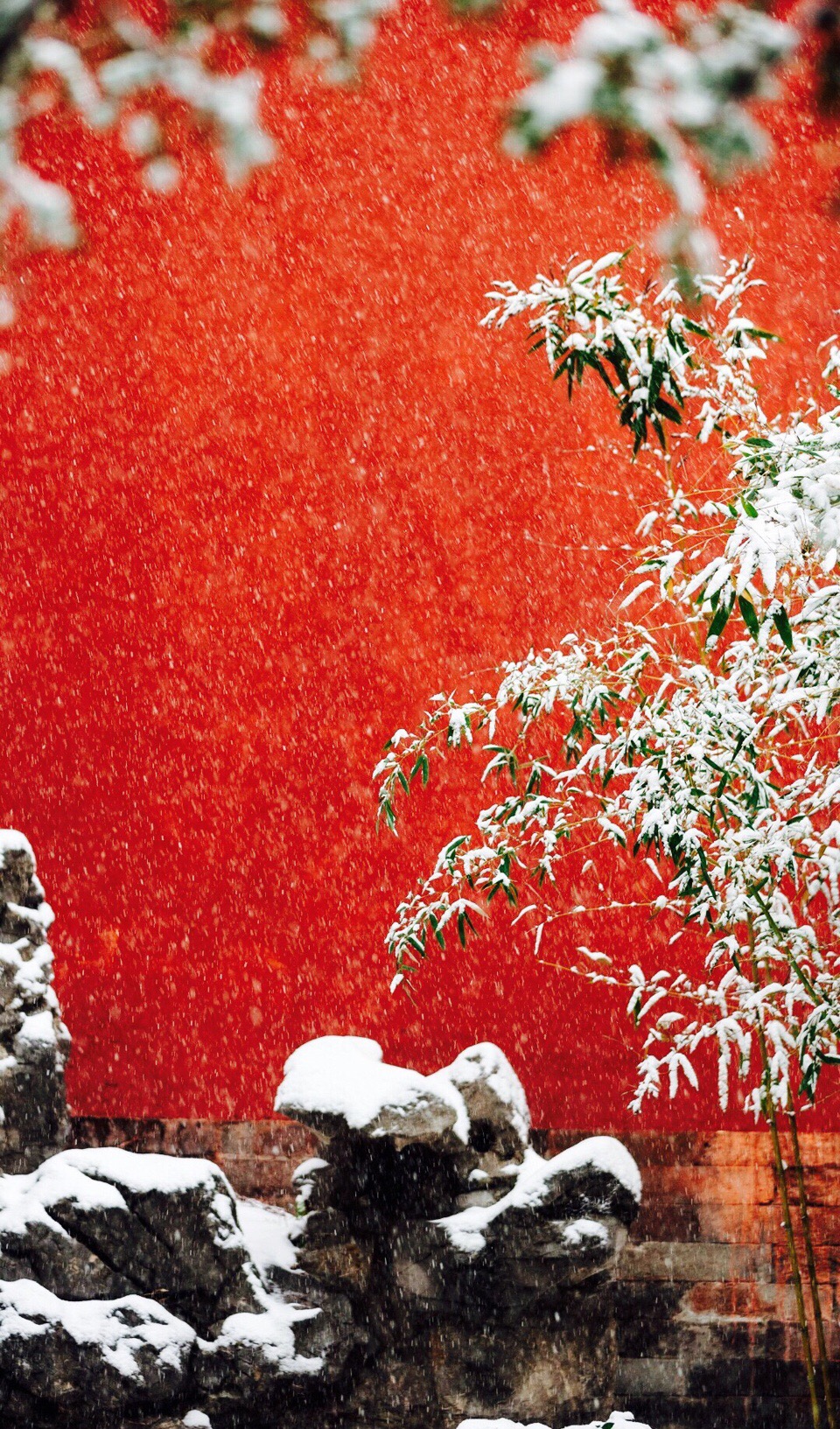 2016年北京冬季第一场雪故宫雪景照片