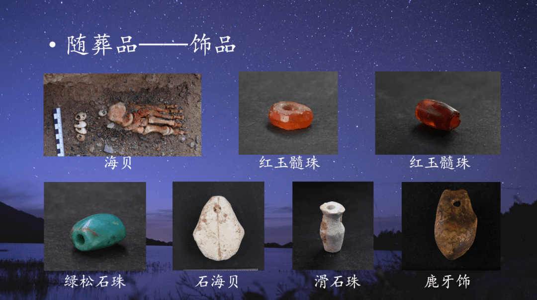 青海夏尔雅玛可布遗址考古发现3228座先秦古墓葬